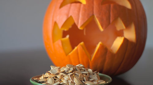 Pumpkin and Squash Seeds